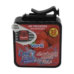 Everfresh AC Vent Car Perfumes and Air Fresheners - Organic Air Freshener (Strawberry)